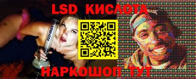 молекула духа Кингисепп