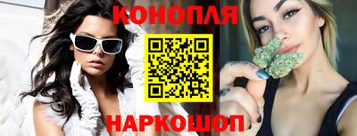 молекула духа Кингисепп
