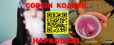 молекула духа Кингисепп