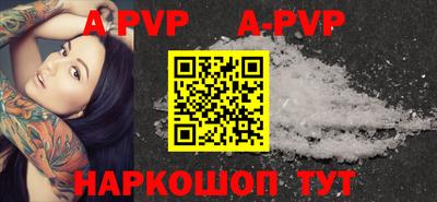 молекула духа Кингисепп