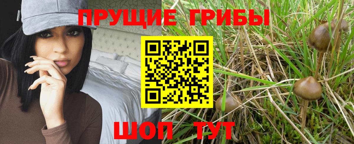 Галлюциногенные грибы Cubensis  Псилоцибиновые грибы MAGIC MUSHROOMS  Вход с VPN  Владимир 