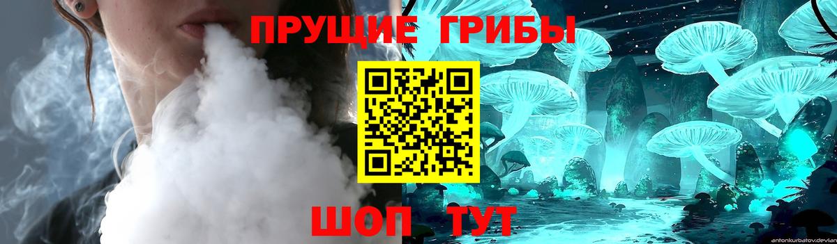 Галлюциногенные грибы Cubensis Владимир